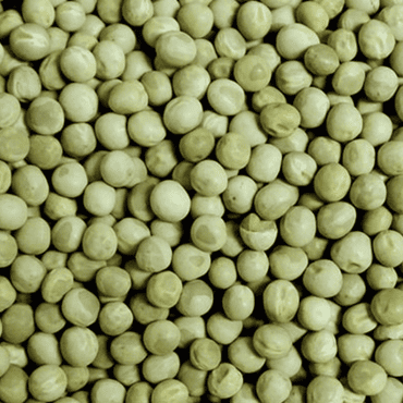 Green Peas